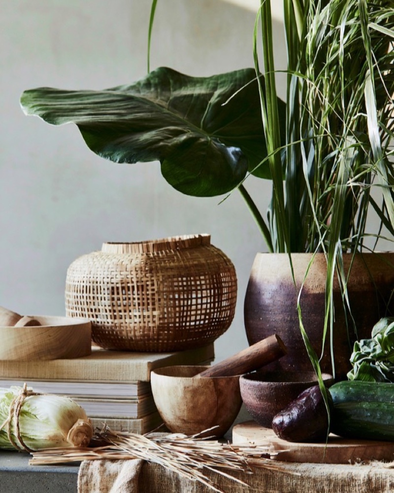 Ambiance LAM, plantes, paniers et matières naturelles